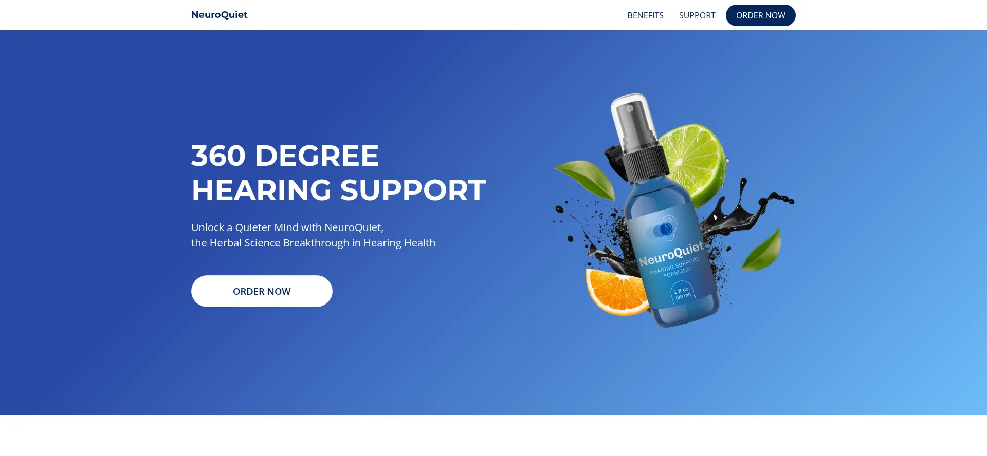 Website screenshot of Getneuroquiet.com
