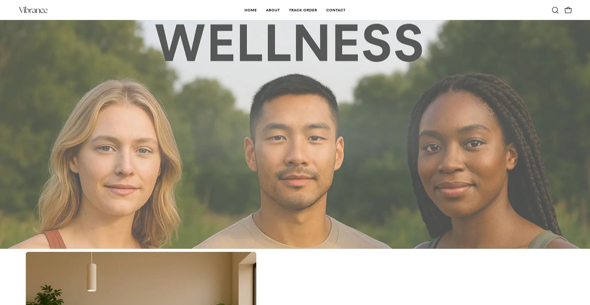 Getvibrance.com