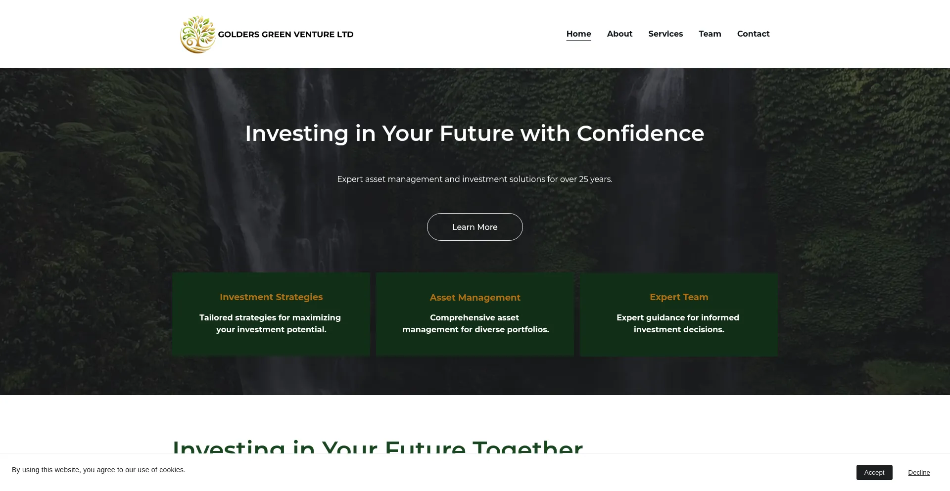 Website screenshot of Ggventure.co.uk