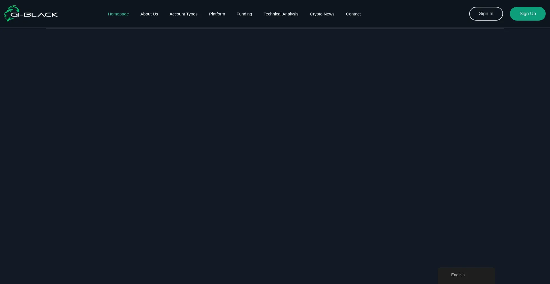 Website screenshot of Gi-black.com