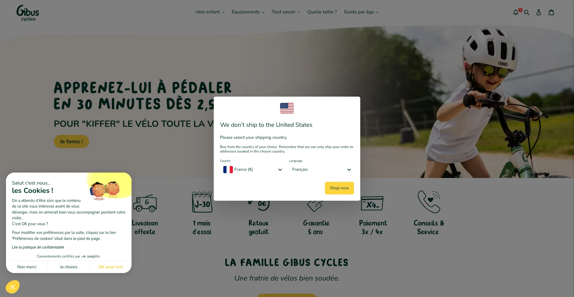 Gibuscycles.com Screenshot