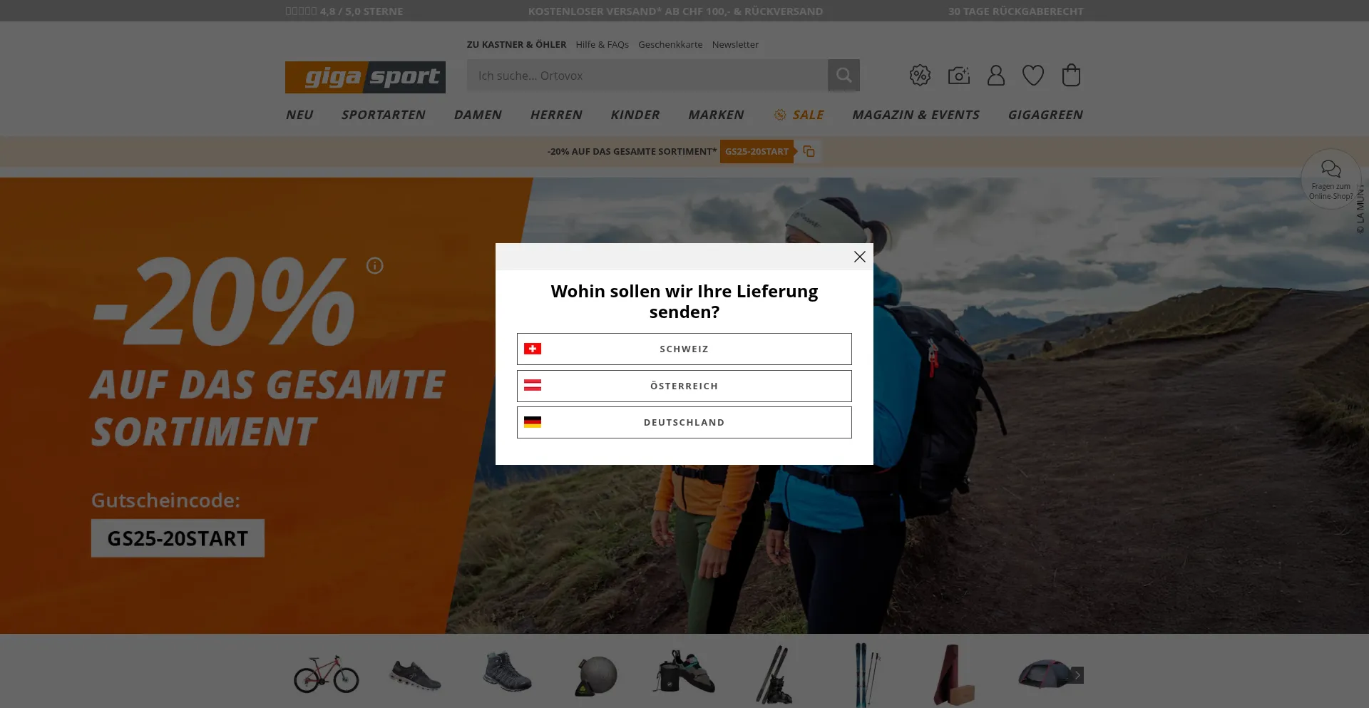 Website screenshot of Gigasport.ch