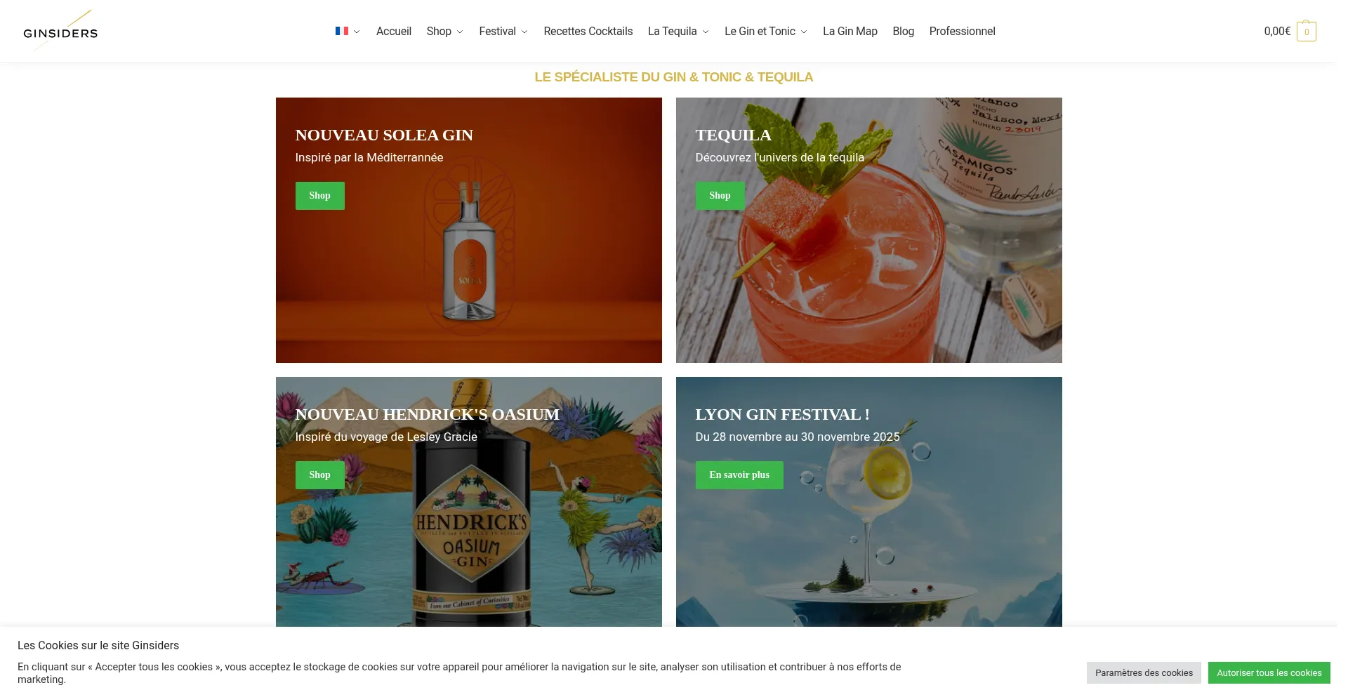 Website screenshot of Ginsiders.com