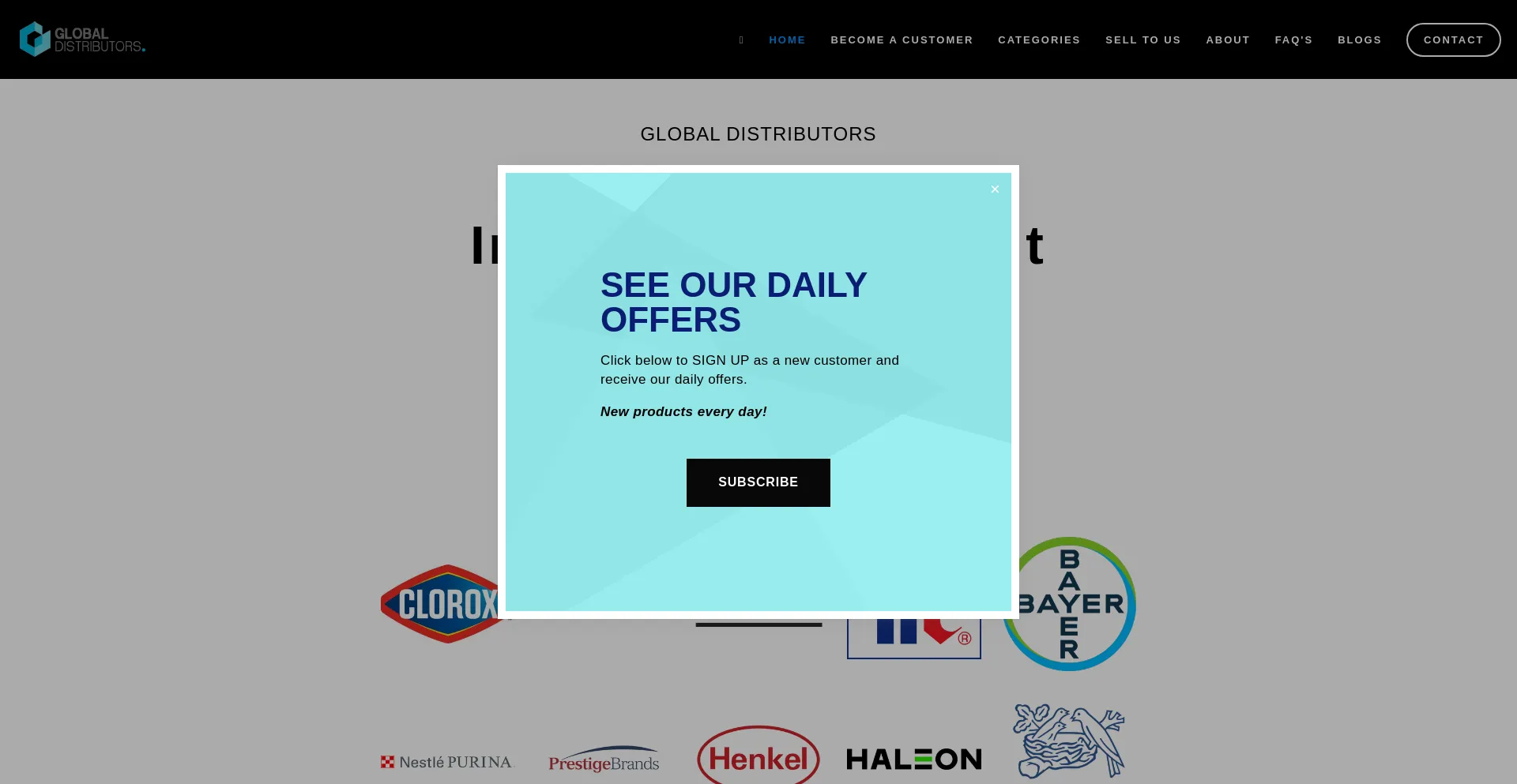 Website screenshot of Globalcloseouts.net