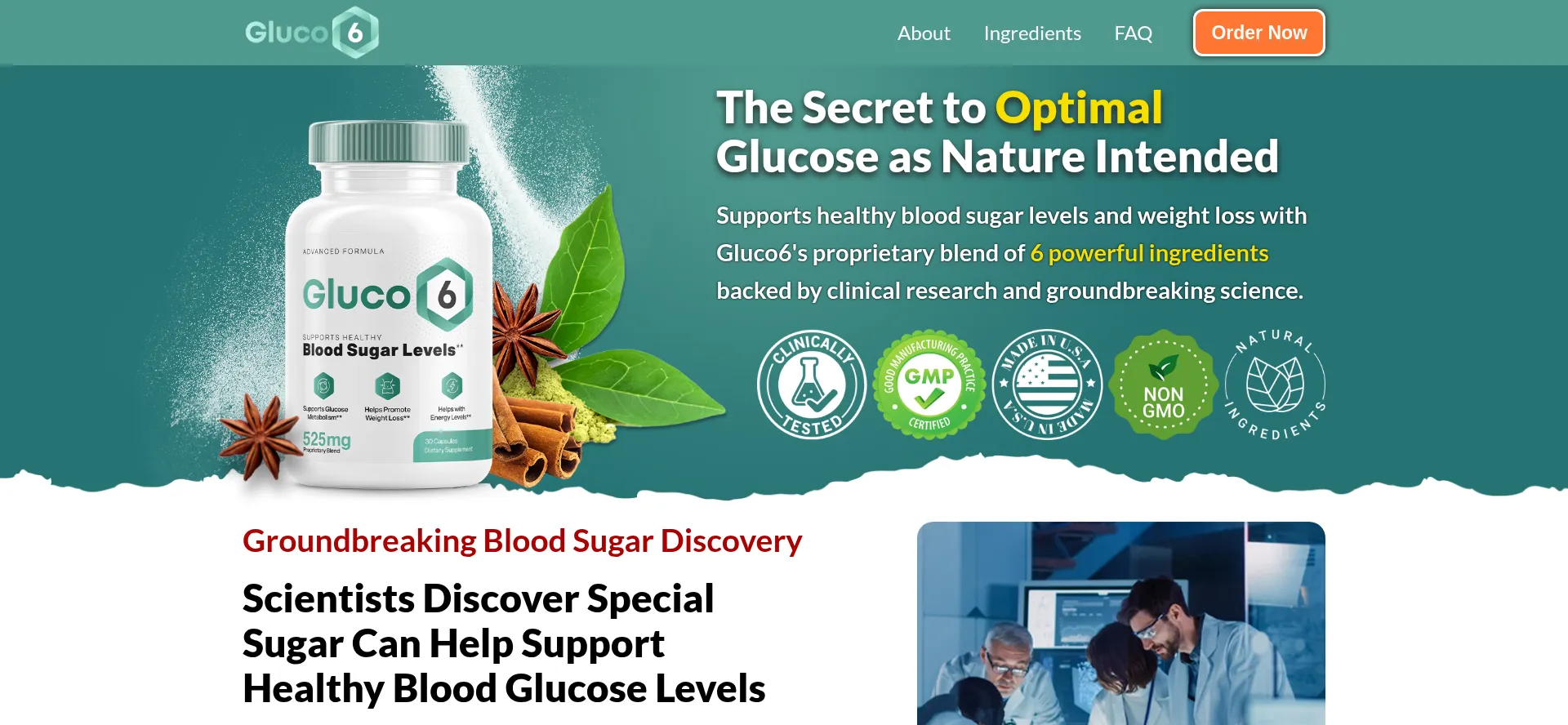 Website screenshot of Gluco6.com