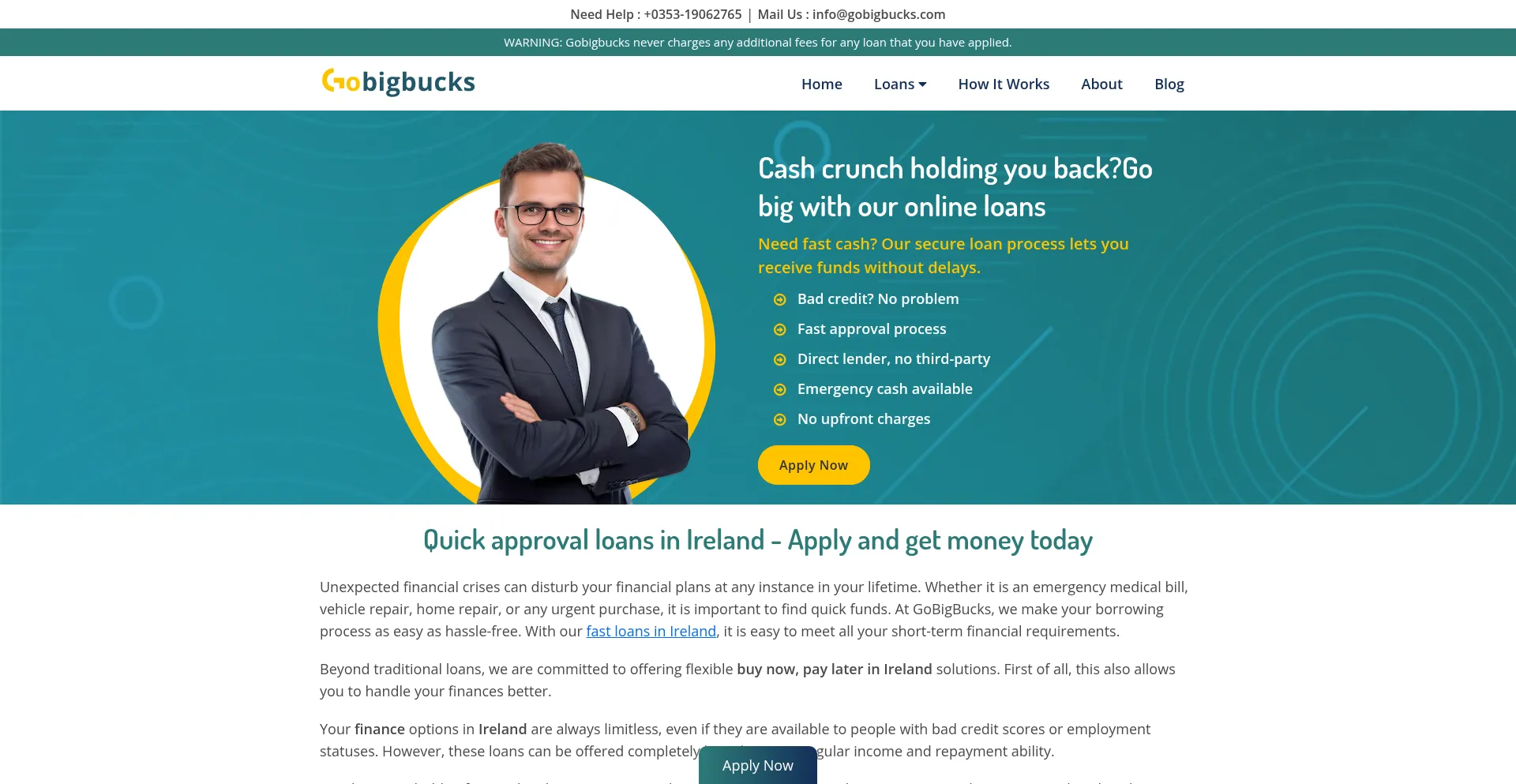 Website screenshot of Gobigbucks.com