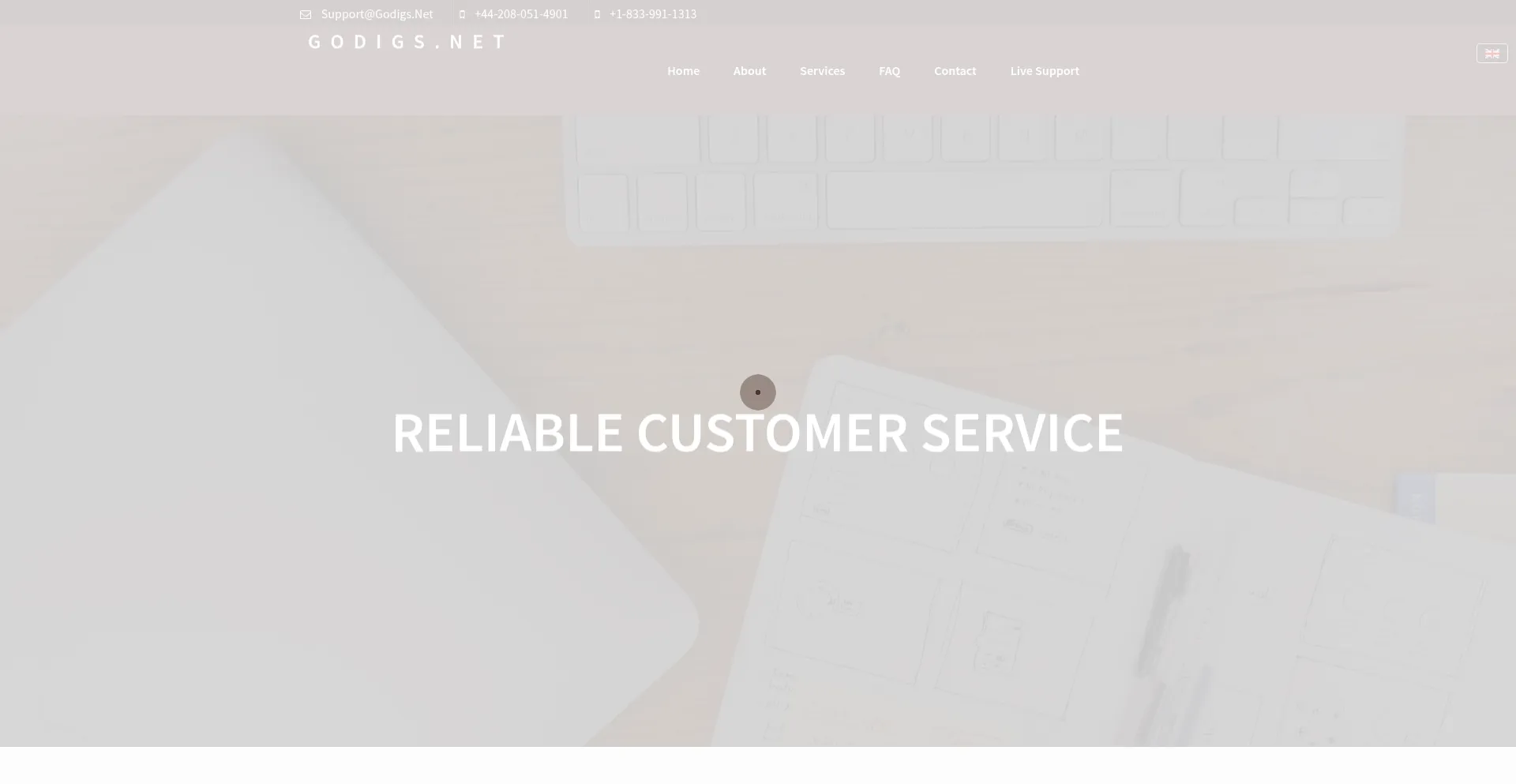 Website screenshot of Godigs.net