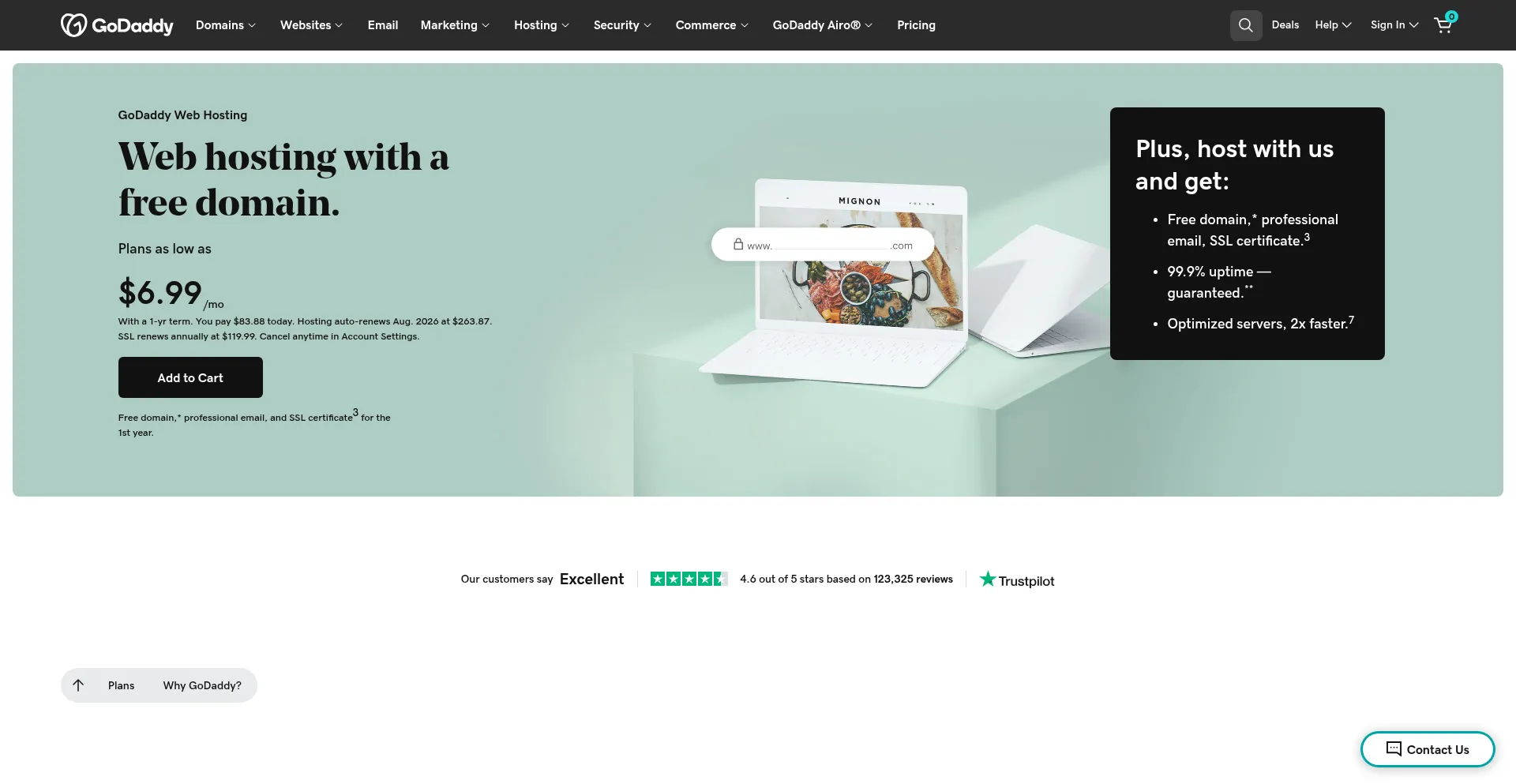Website screenshot of Gofaffy.com
