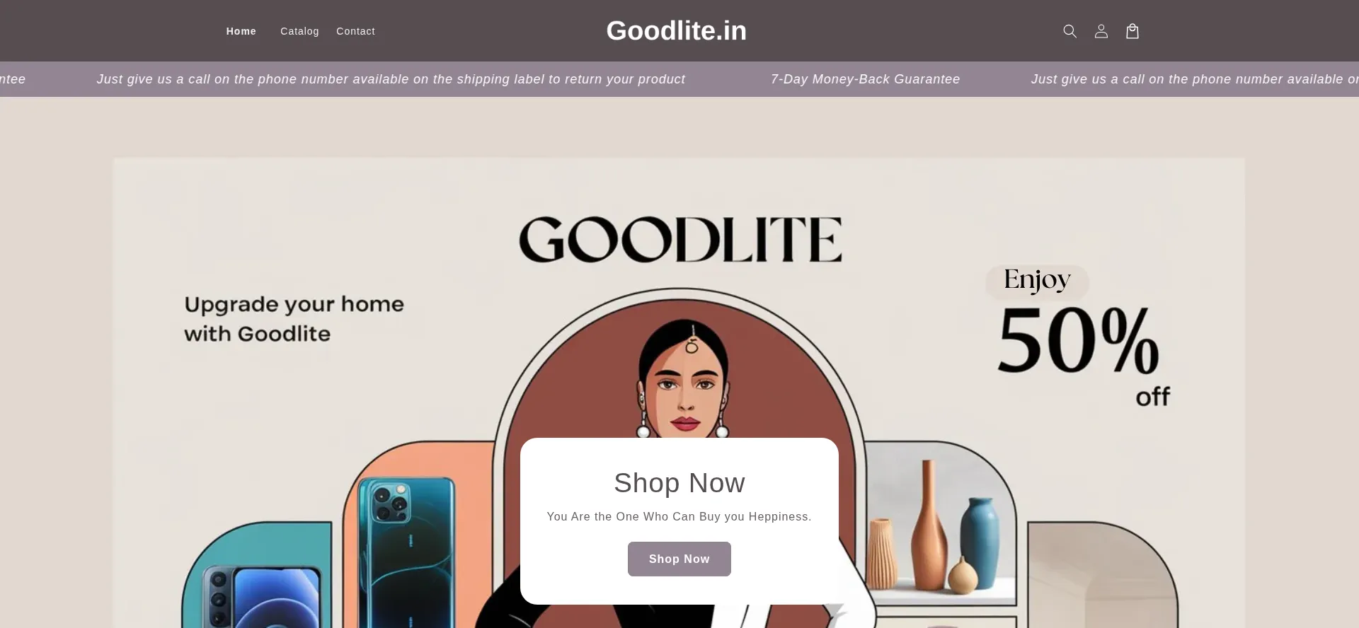 Website screenshot of Goodlite.in