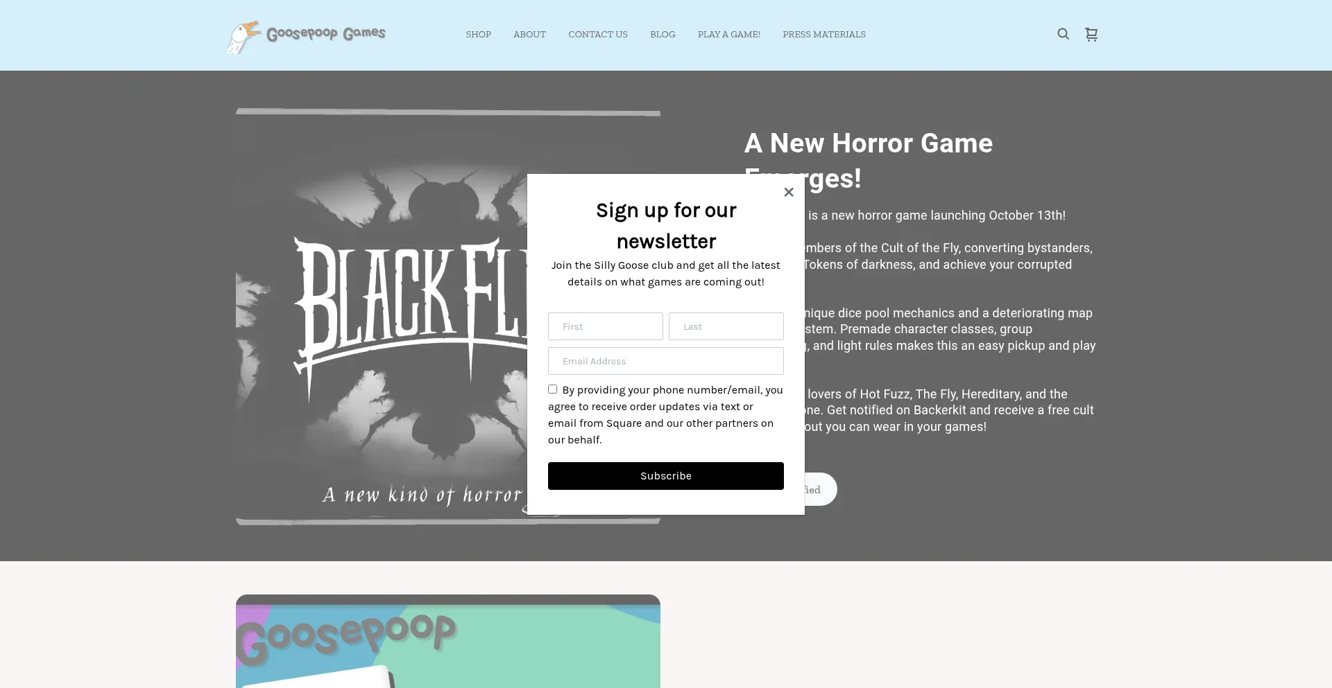 Website screenshot of Goosepoopgames.com