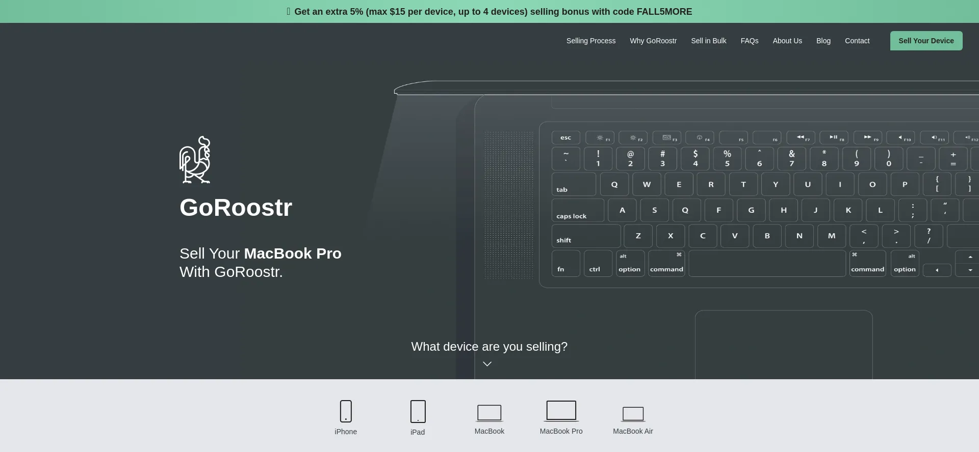 Website screenshot of Goroostr.com