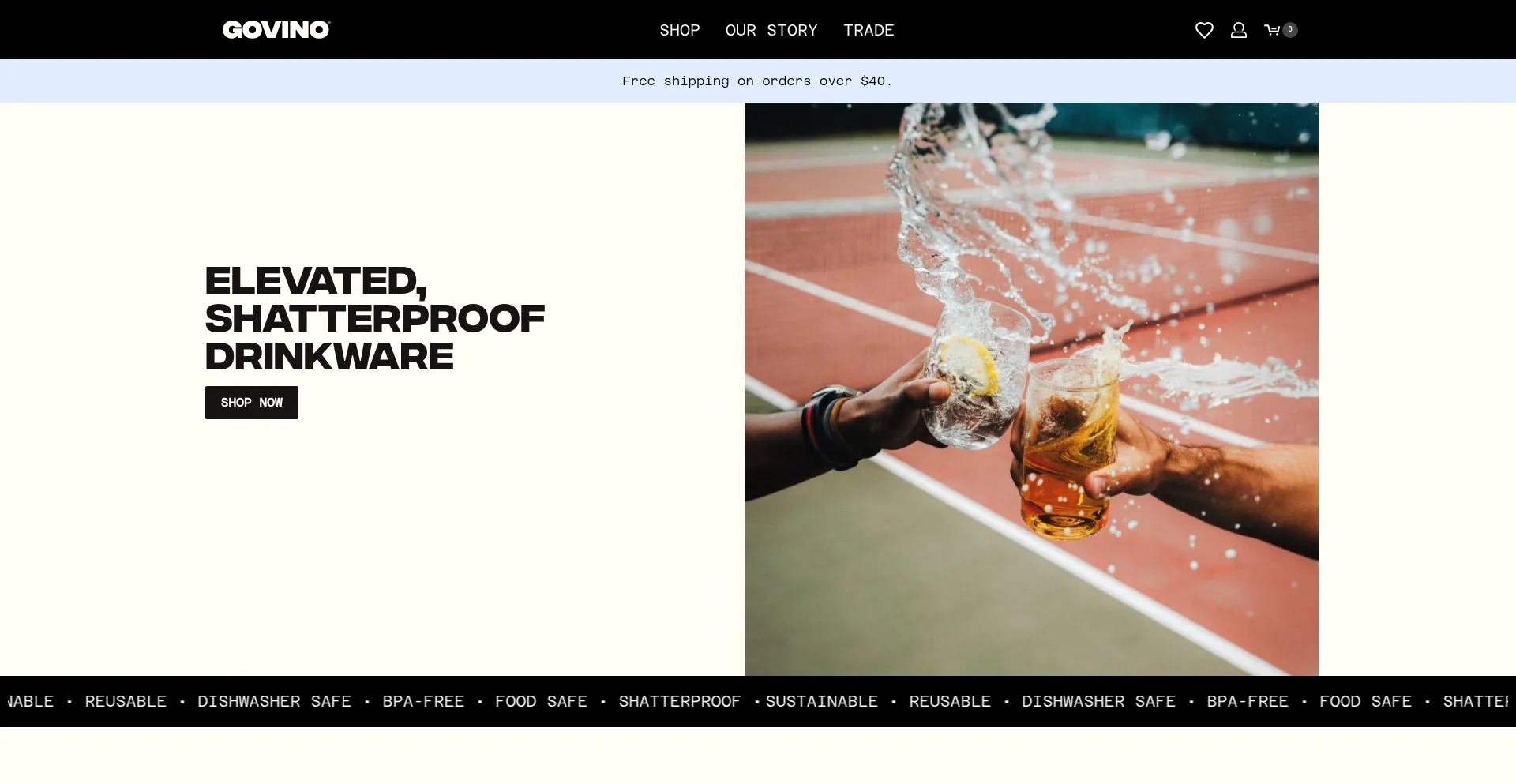 Website screenshot of Govino.com