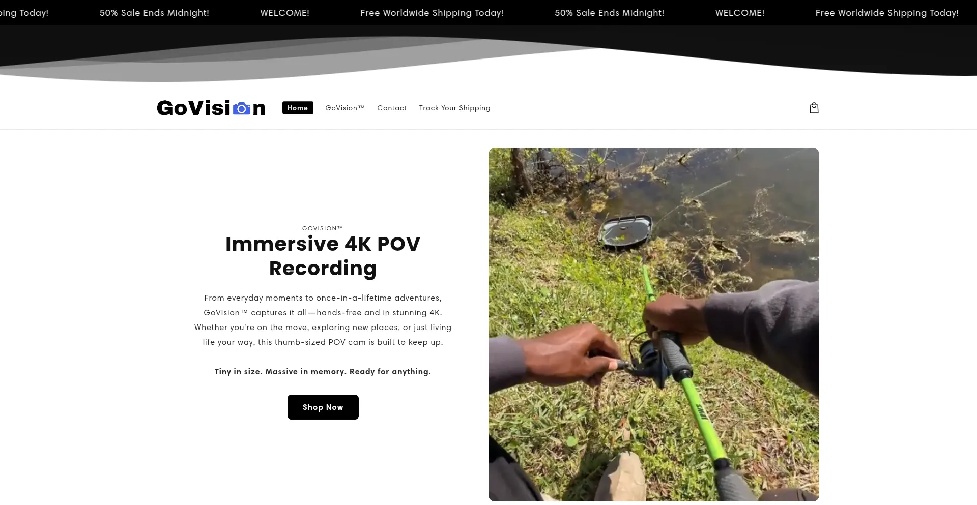 Website screenshot of Govision.store