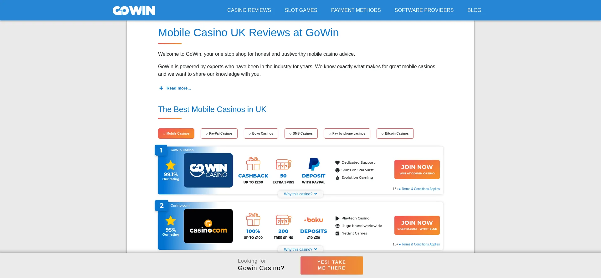 Website screenshot of Gowin.co.uk