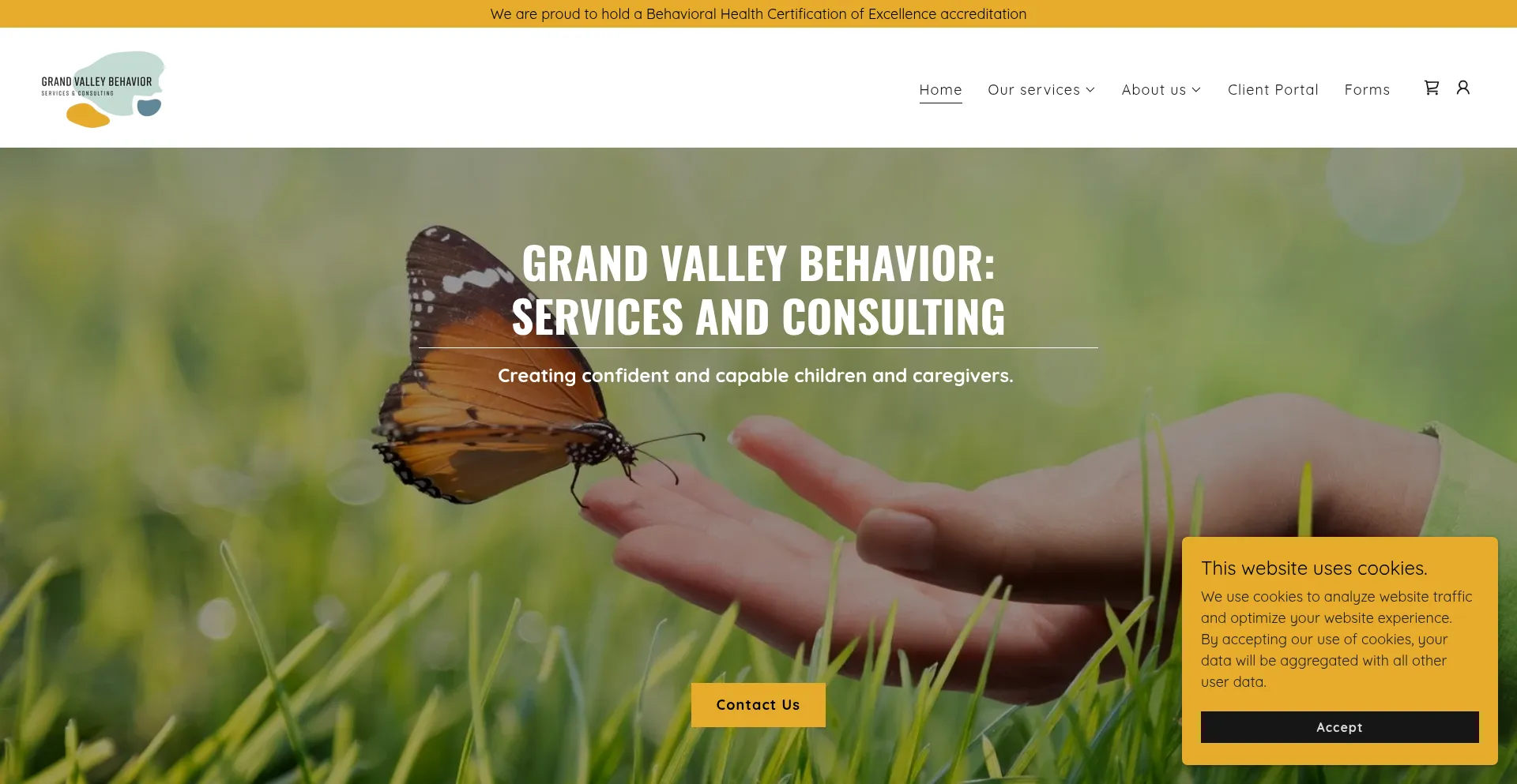Is Grandvalleybehavior.com Safe?