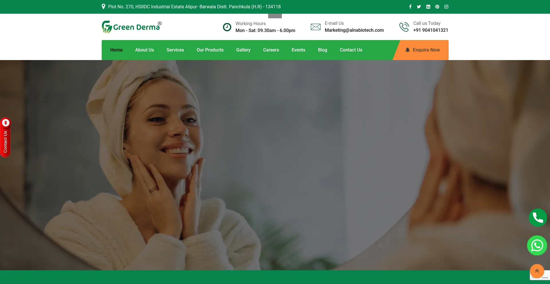 Website screenshot of Greenderma.co.in