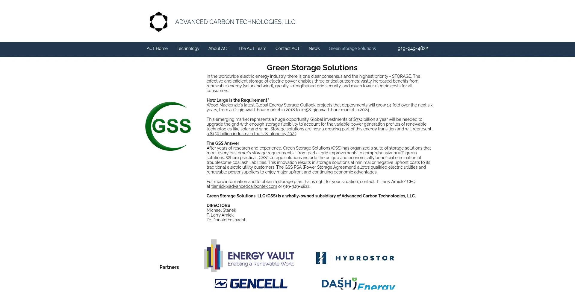 Greenstoragesolutions.com Screenshot