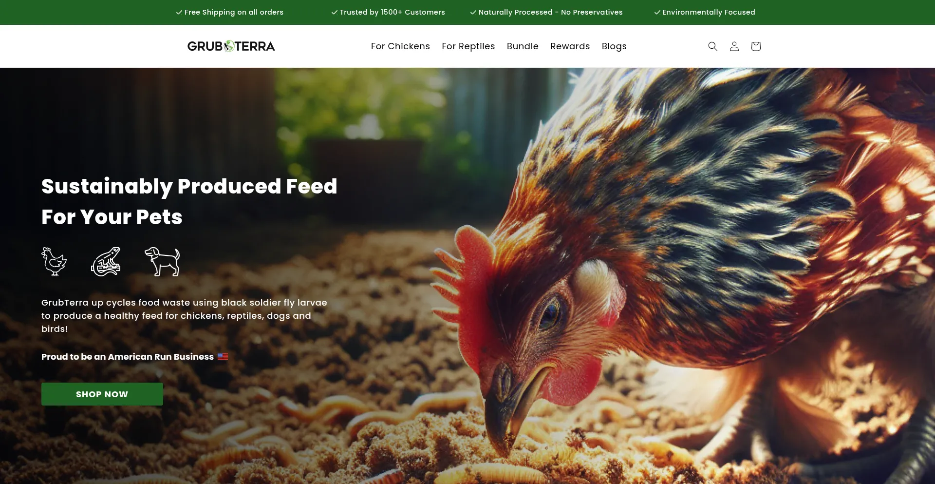 Website screenshot of Grubterra.com