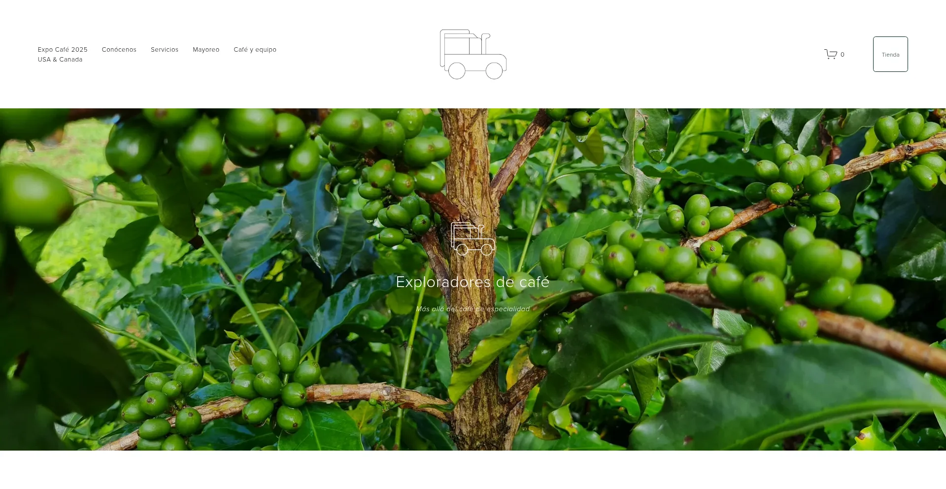 Website screenshot of Grupoexploradores.com