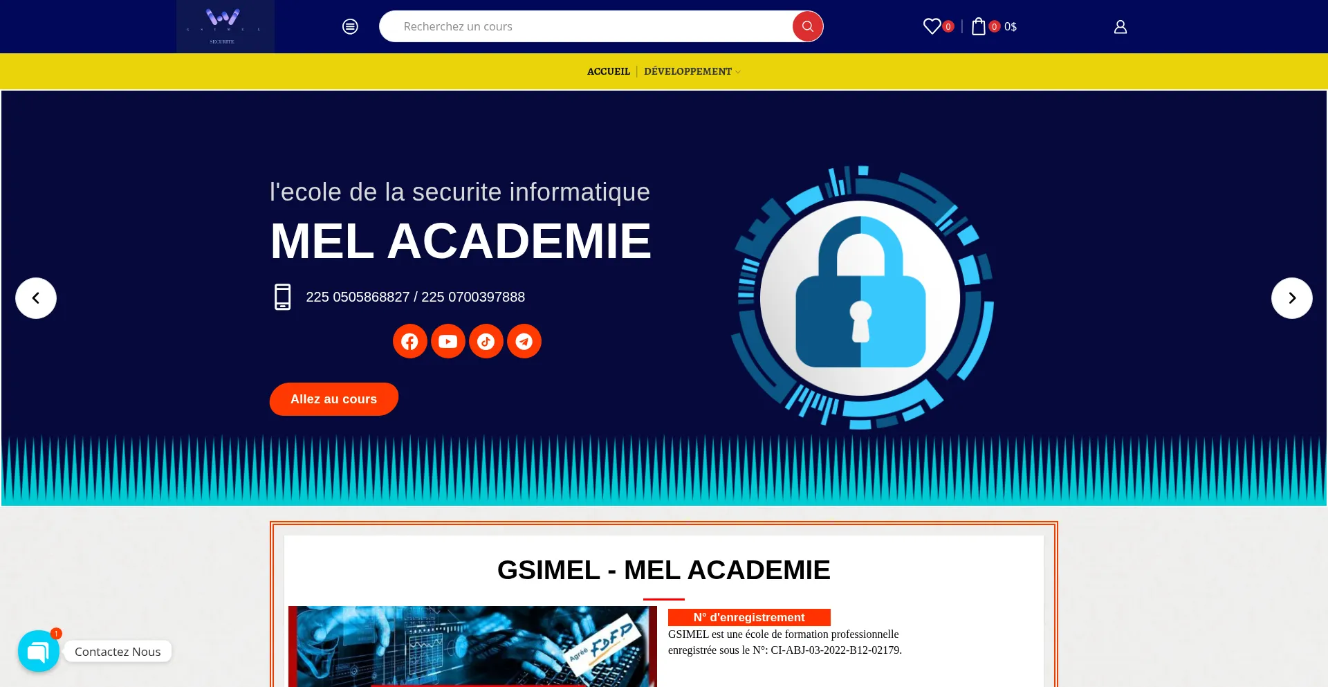 Website screenshot of Gsimel.com