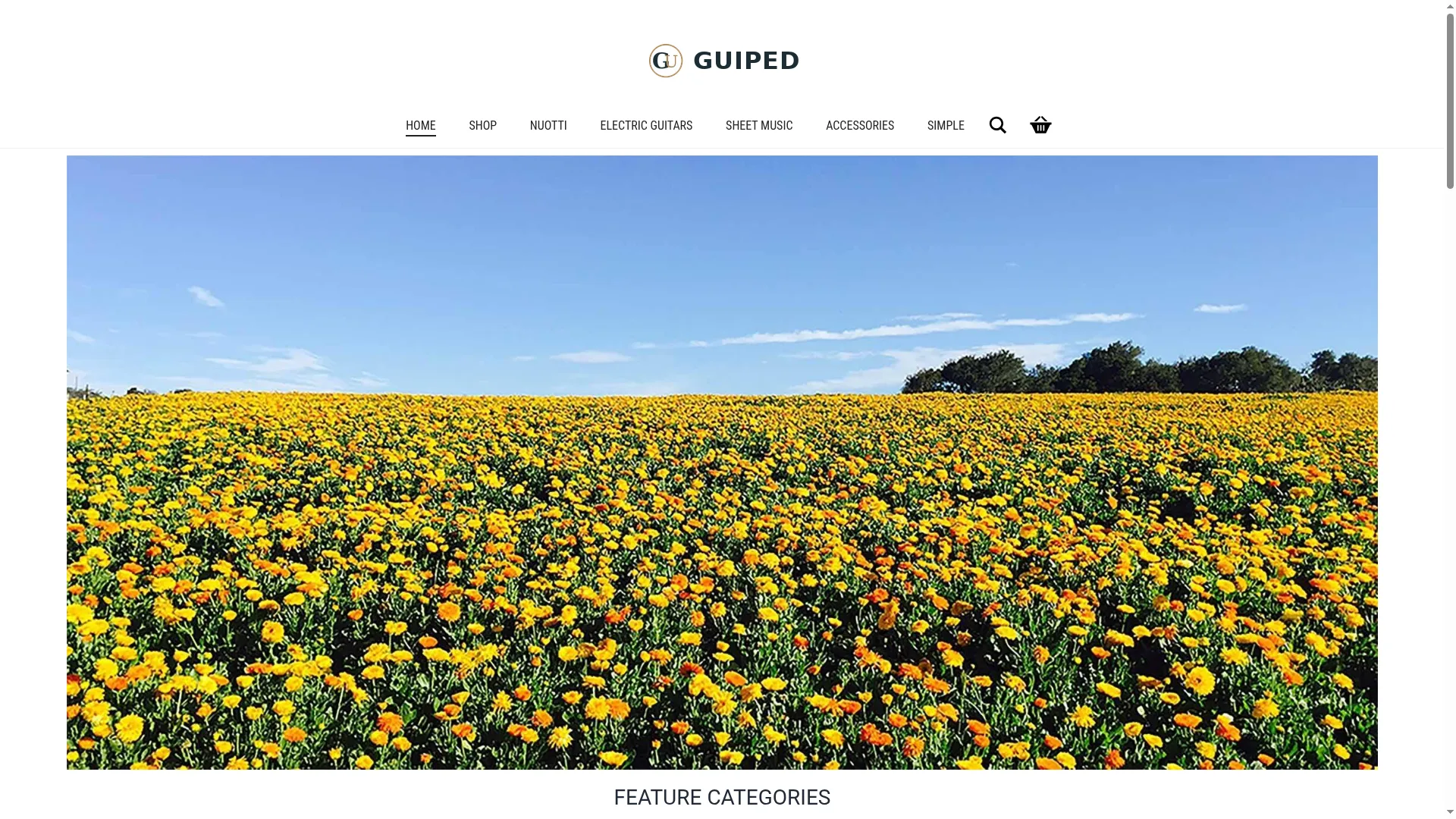 Guitarsampspedals.com