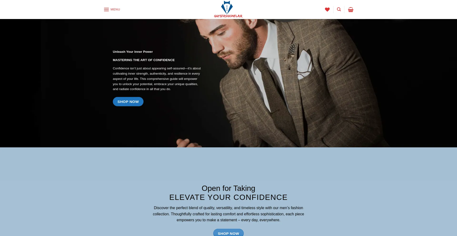 Website screenshot of Guysfashionflair.com