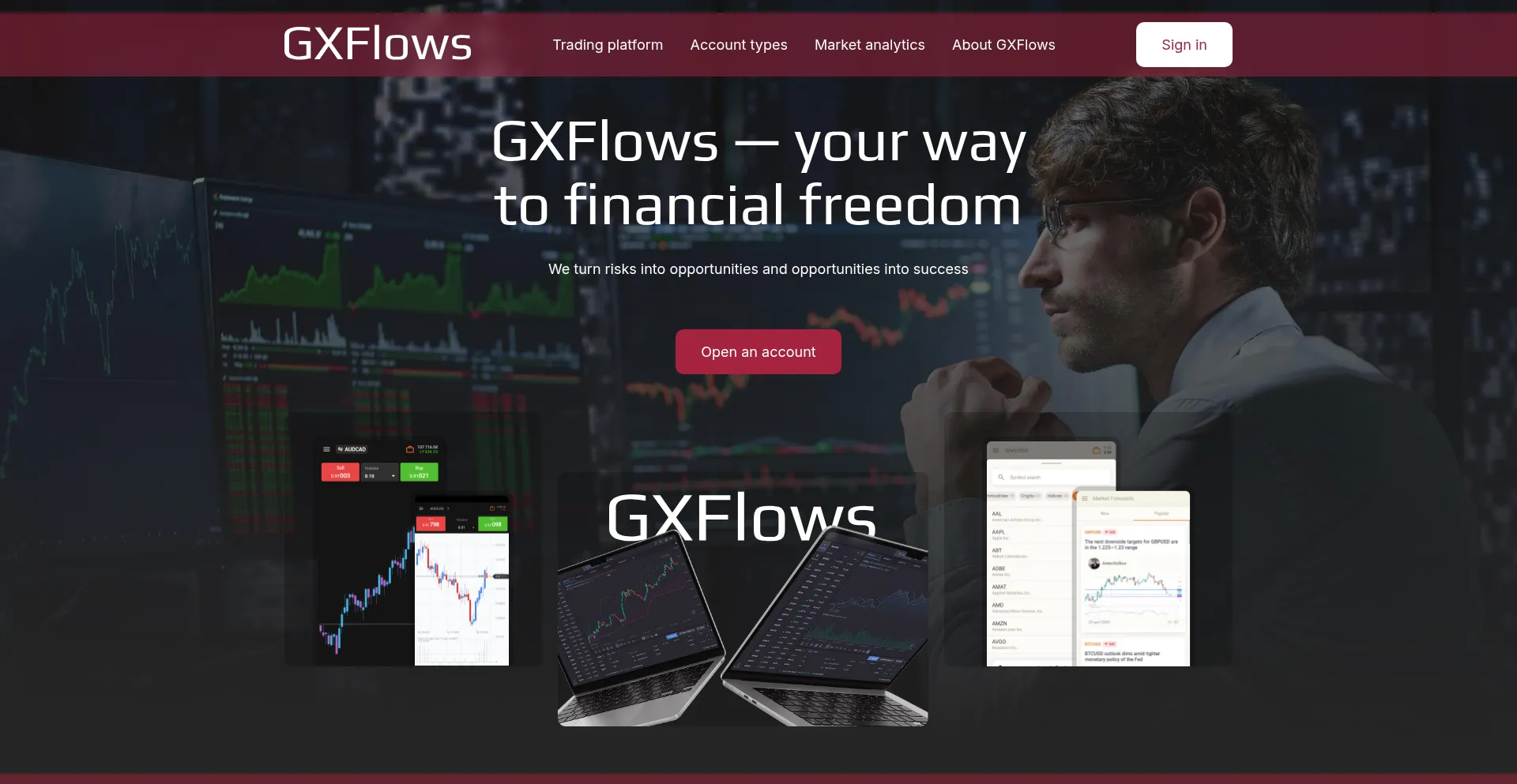 Website screenshot of Gxflows.com