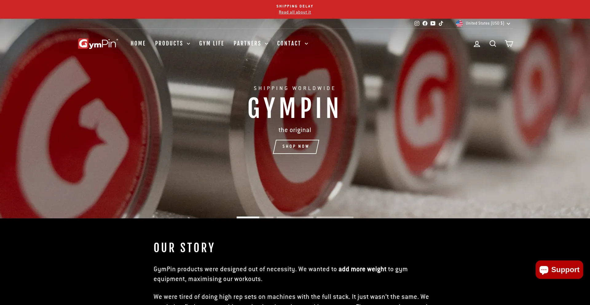 Website screenshot of Gym-pin.com