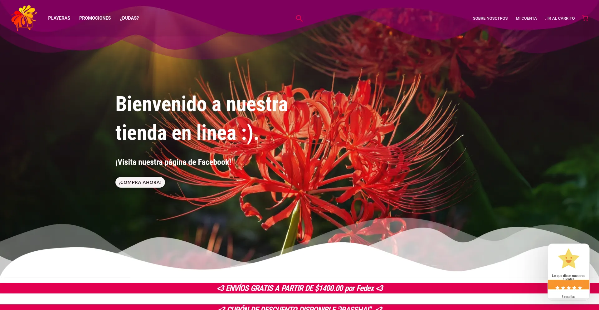 Website screenshot of Hadana.com.mx