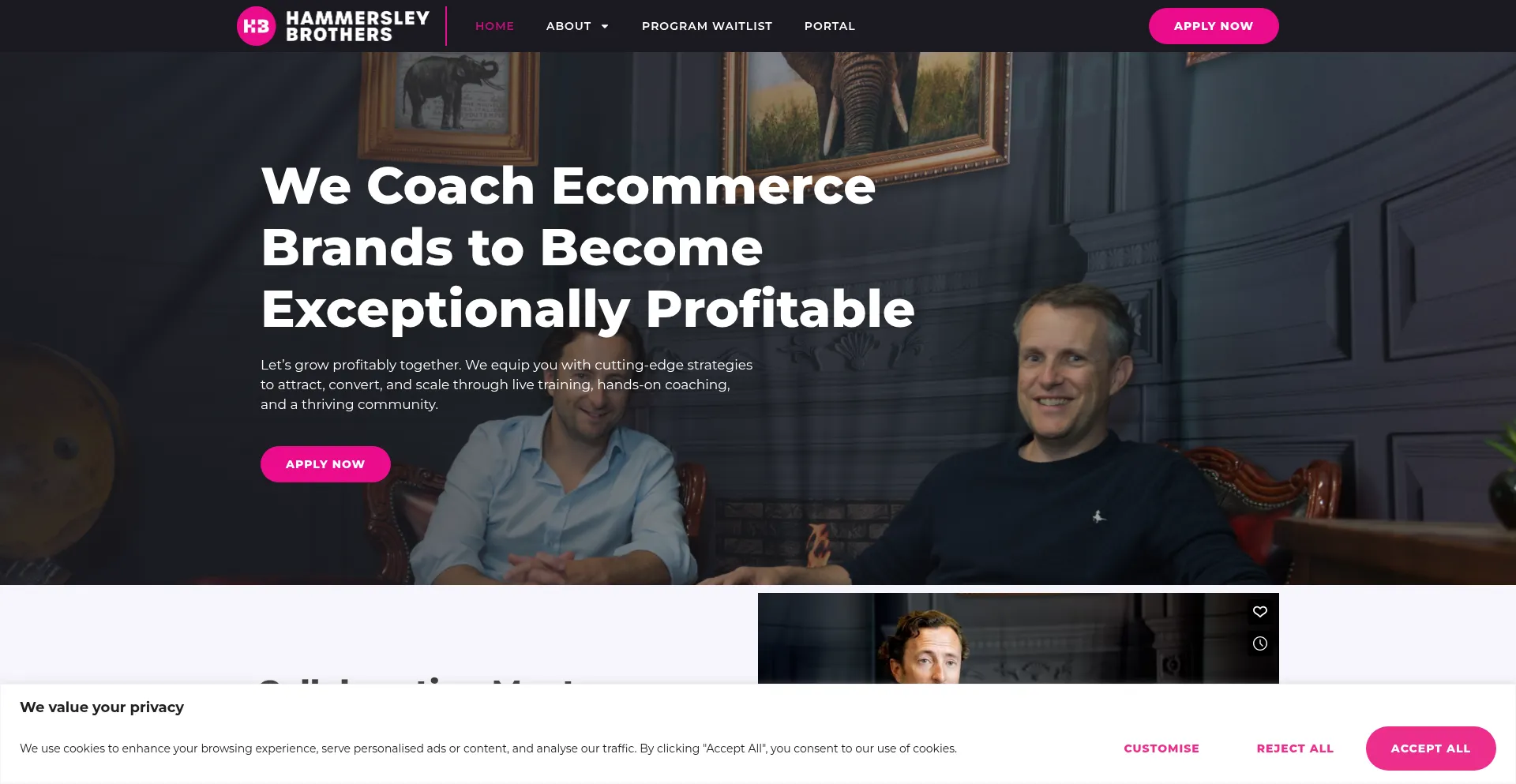 Website screenshot of Hammersleybrothers.com