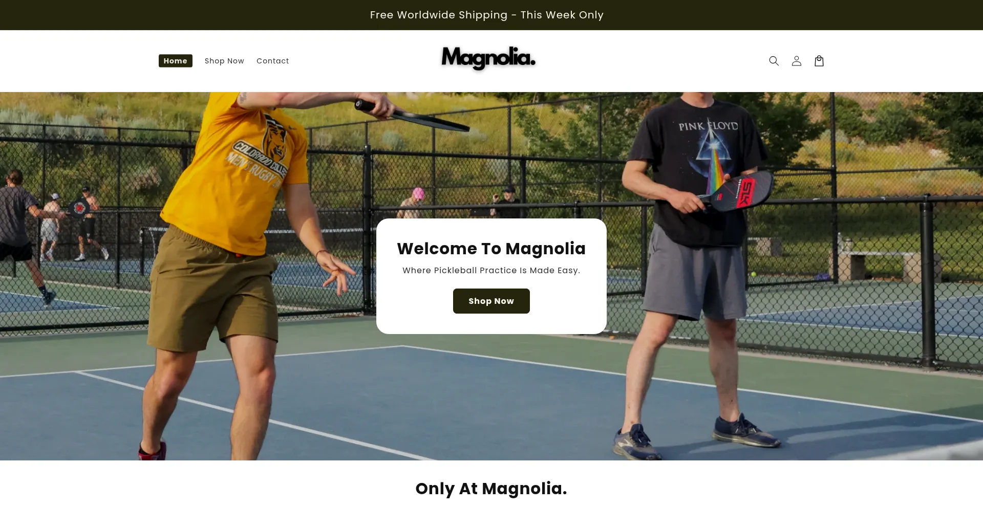 Is Havenofmagnolia.com Safe?