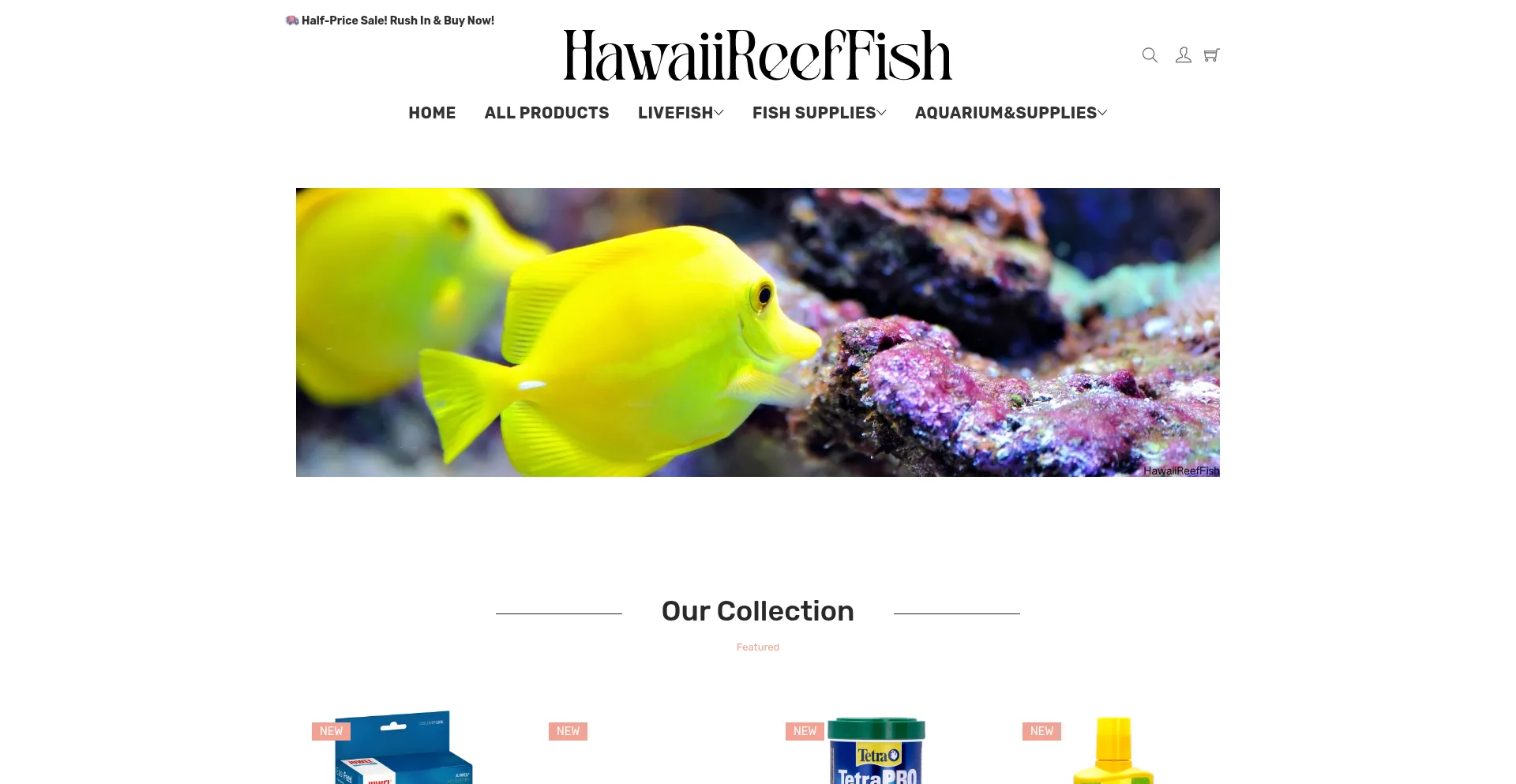 Is Hawaiireeffish.com Safe?
