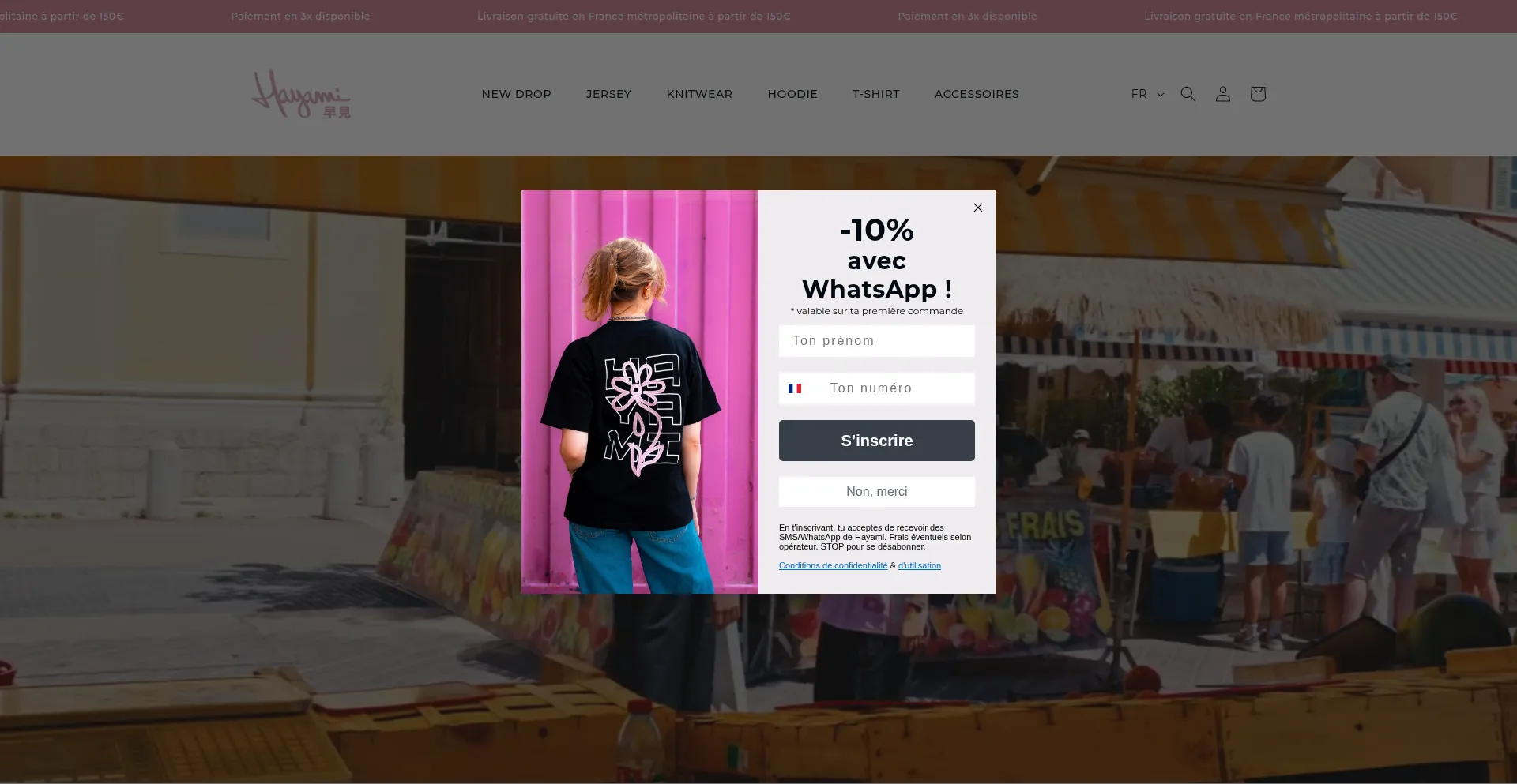 Website screenshot of Hayami-shop.fr
