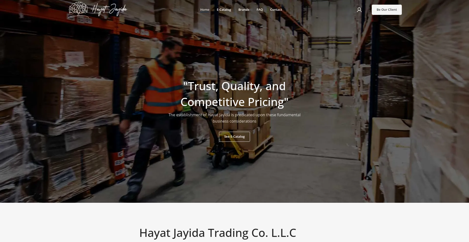 Website screenshot of Hayatjayida.com