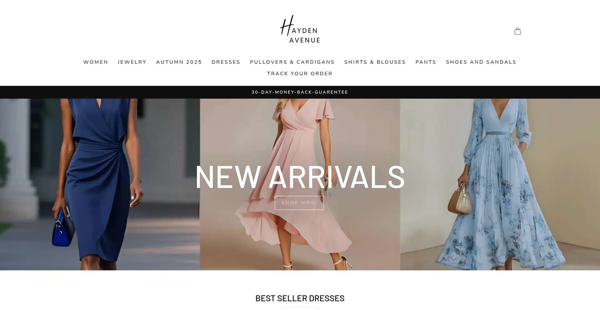 Haydenavenue.com Screenshot