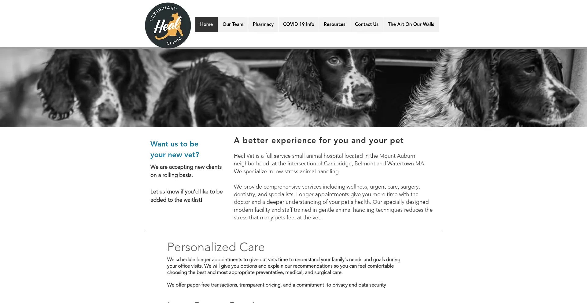 Website screenshot of Heal.vet