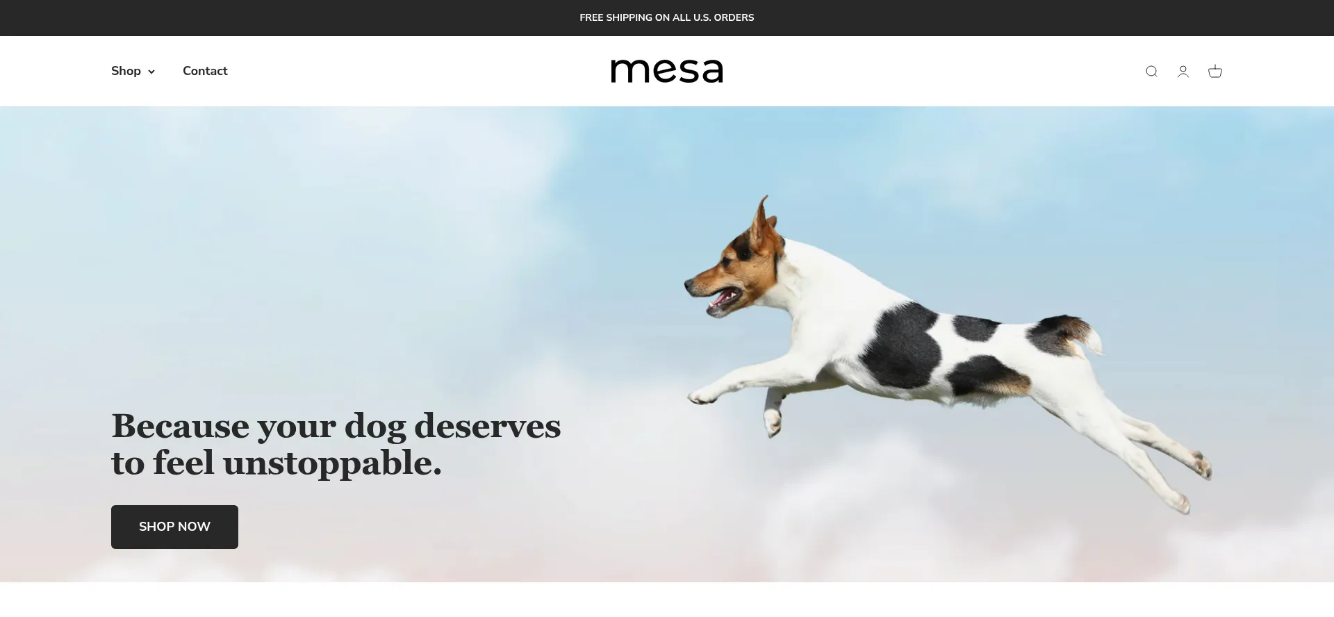 Website screenshot of Hello-mesa.com
