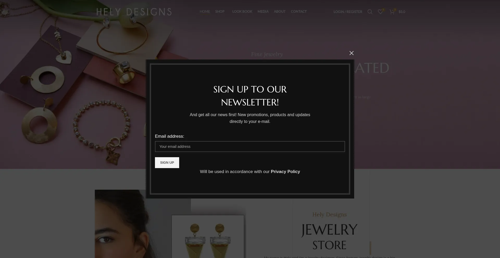 Website screenshot of Helydesign.com