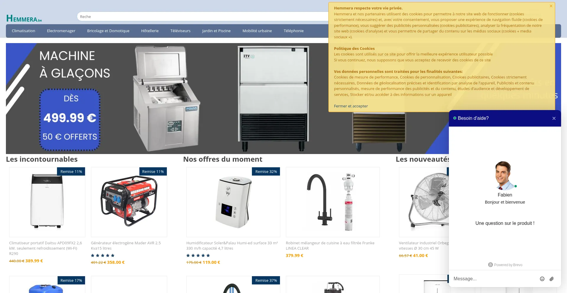 Website screenshot of Hemmera.be