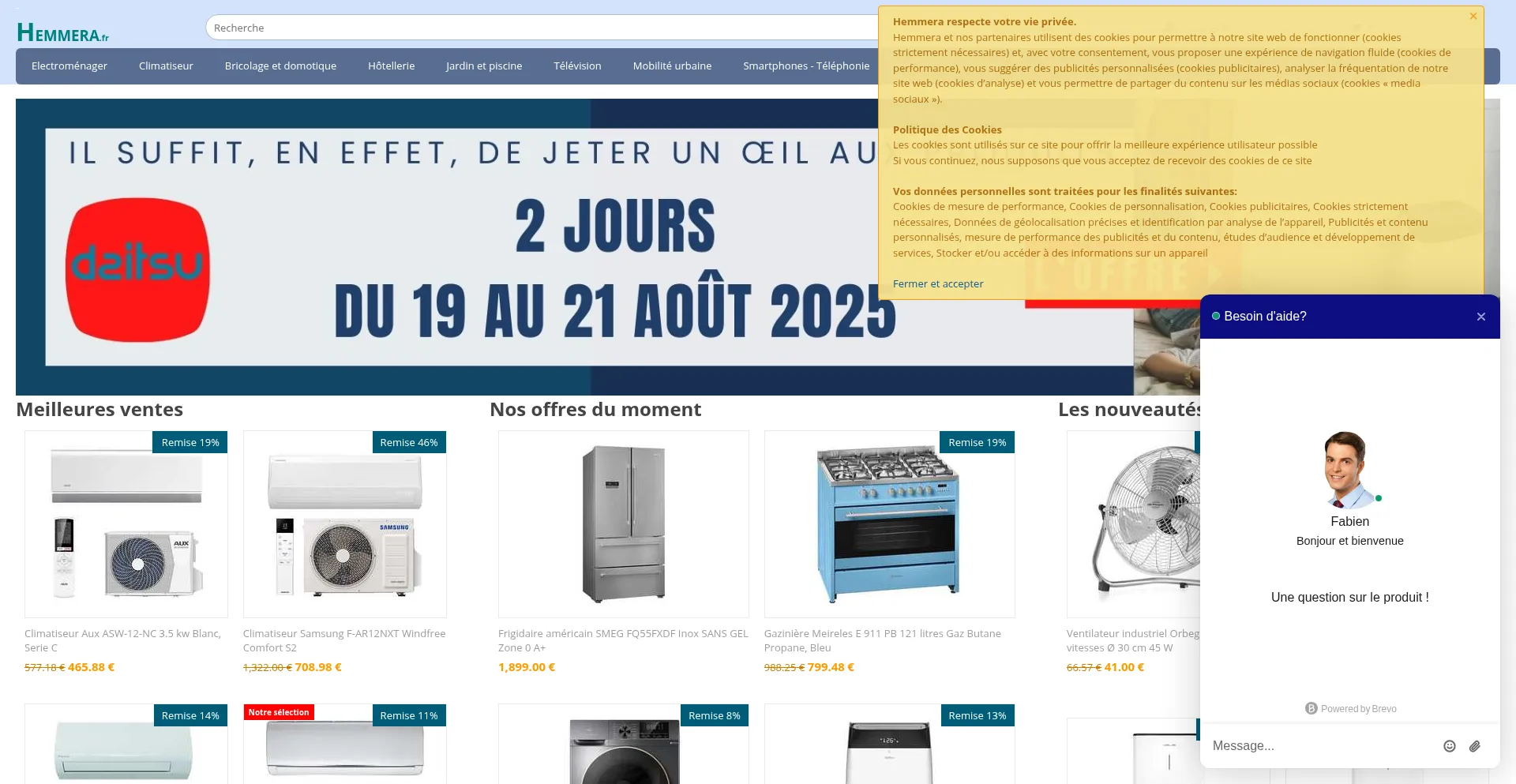 Website screenshot of Hemmera.fr
