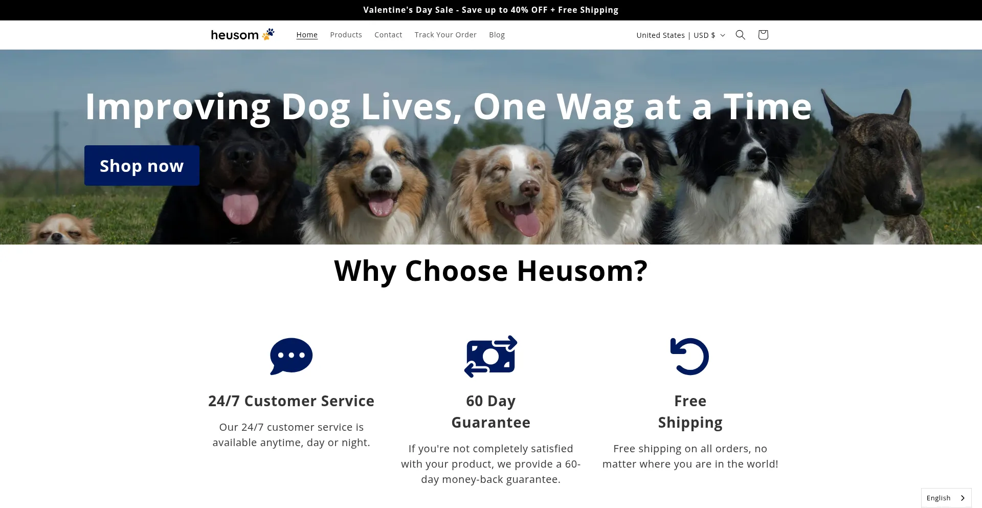 Website screenshot of Heusom.com