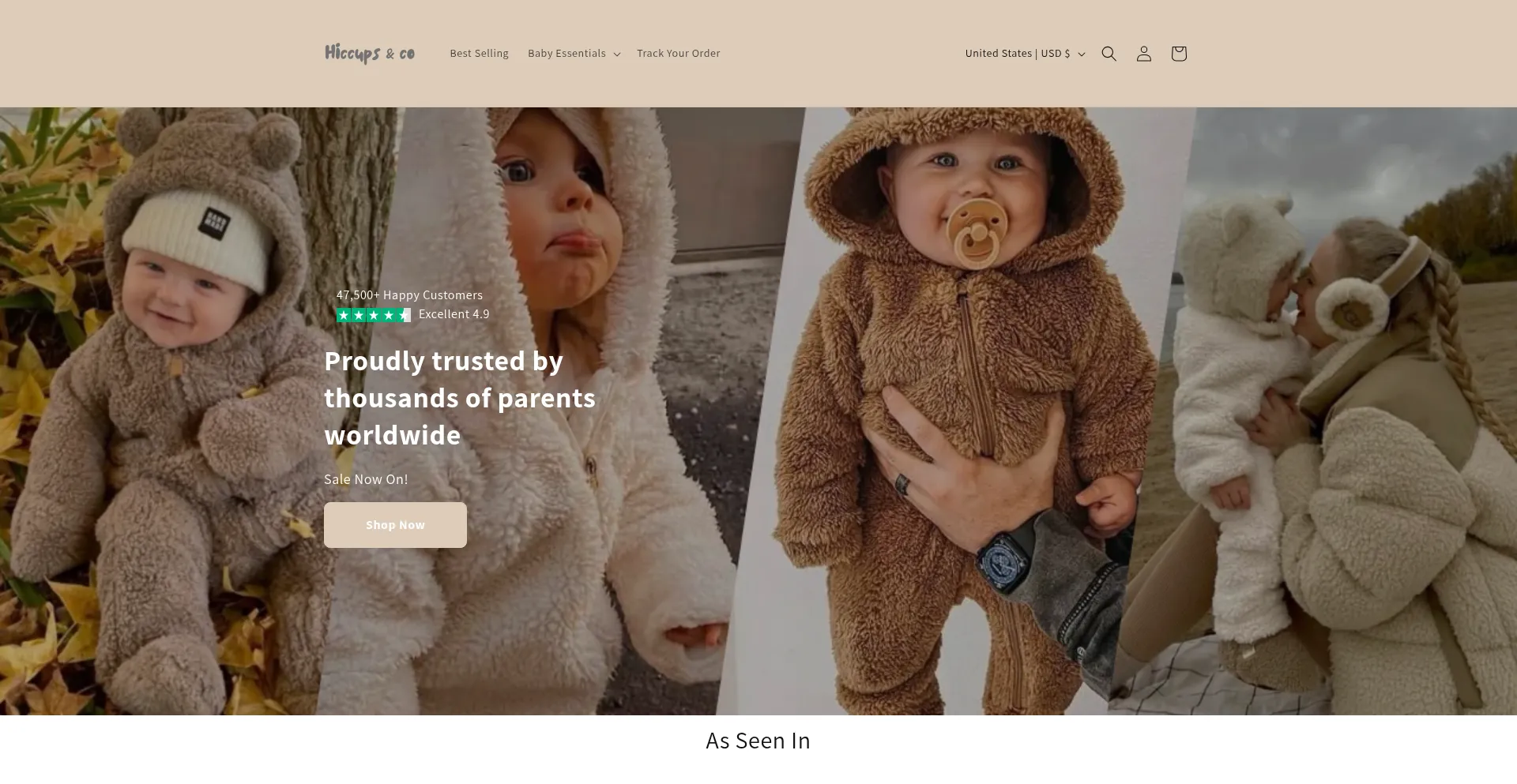 Website screenshot of Hiccupsandco.com