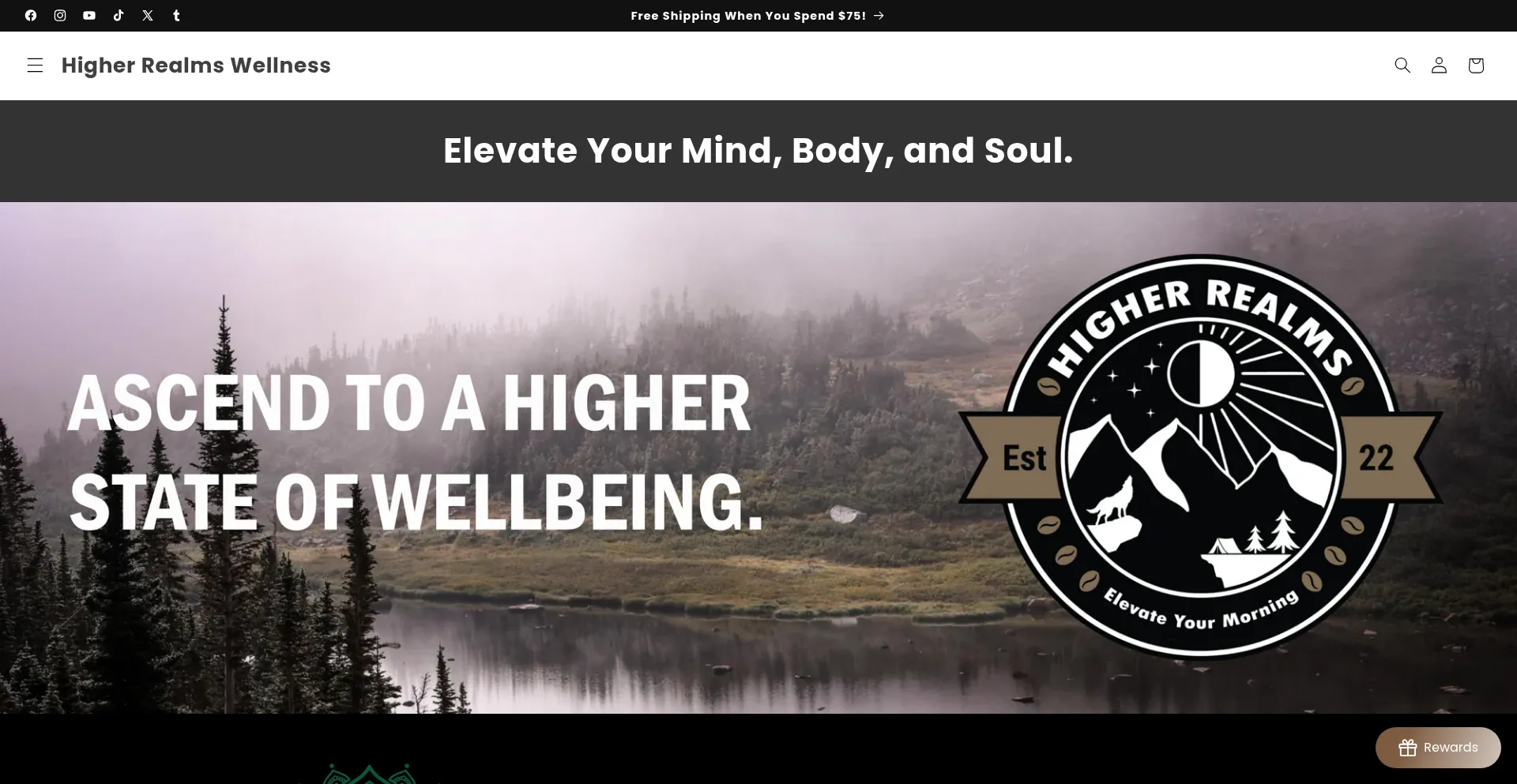 Website screenshot of Higherrealms.store