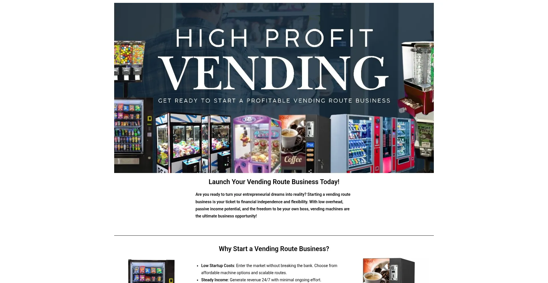 Website screenshot of Highprofitvending.com