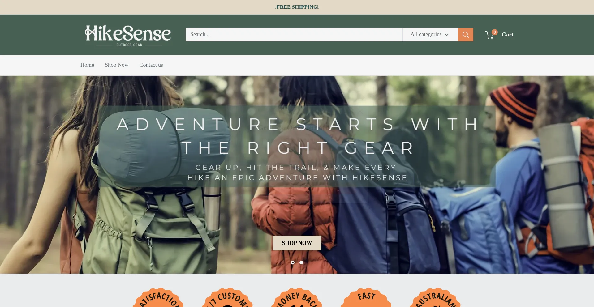 Website screenshot of Hikesensestore.com