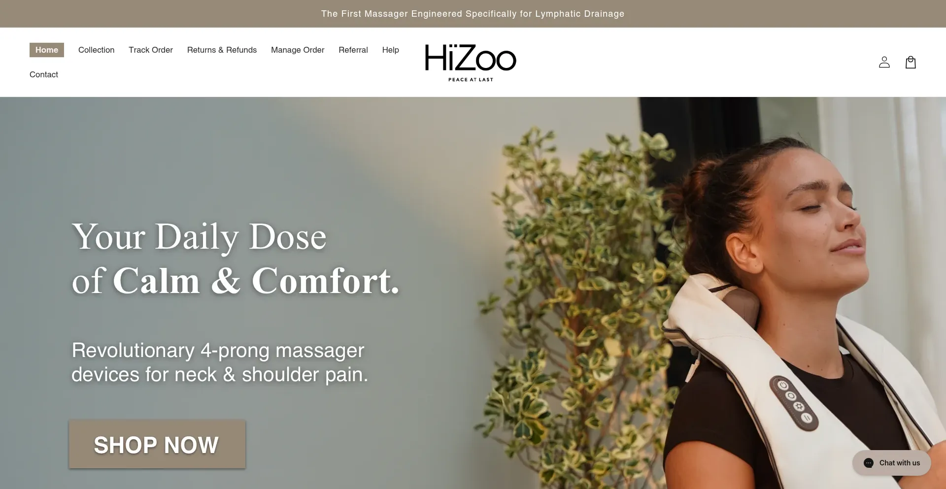 Website screenshot of Hizoo.co