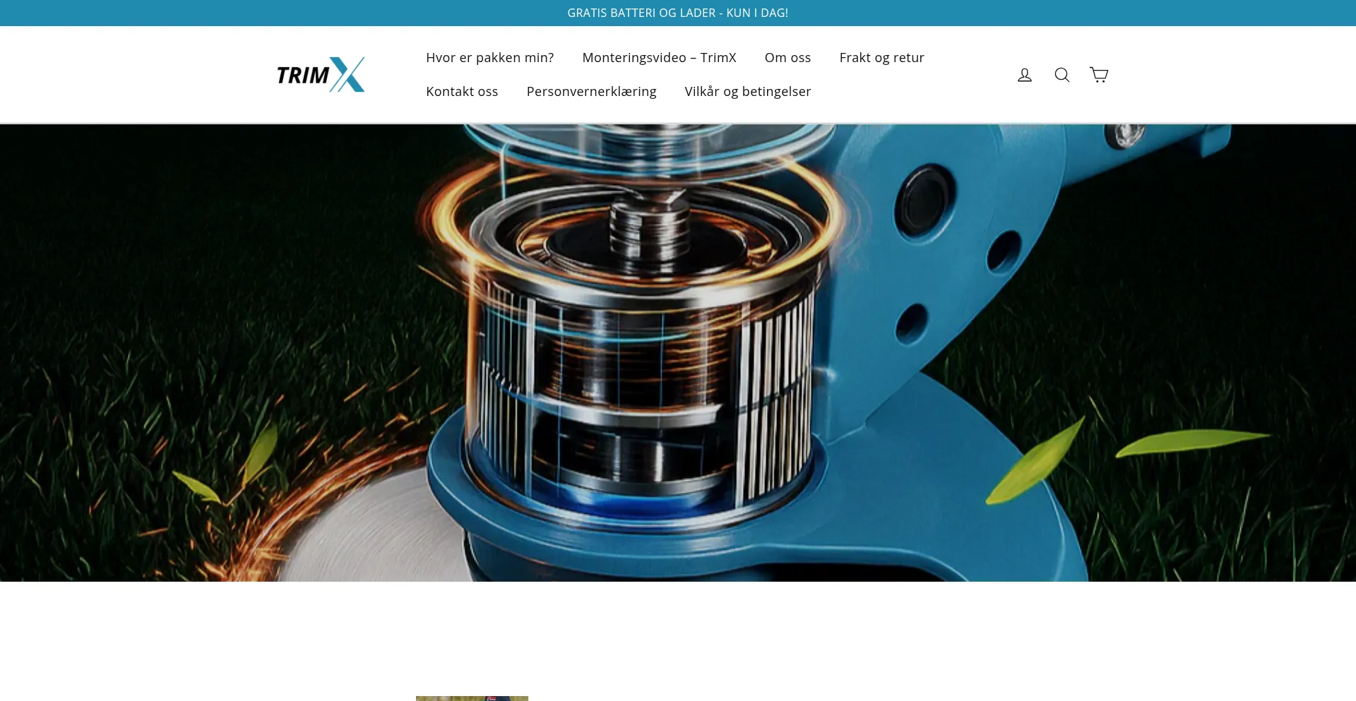 Website screenshot of Hjemviks.com