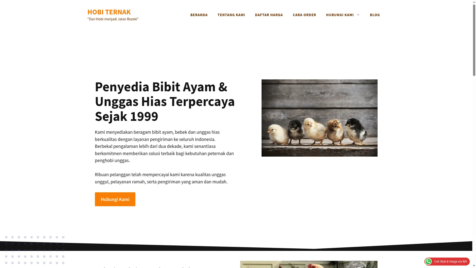 Hobiternak.com