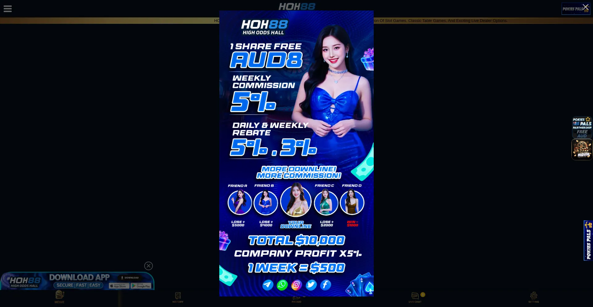 Hoh88aus.com
