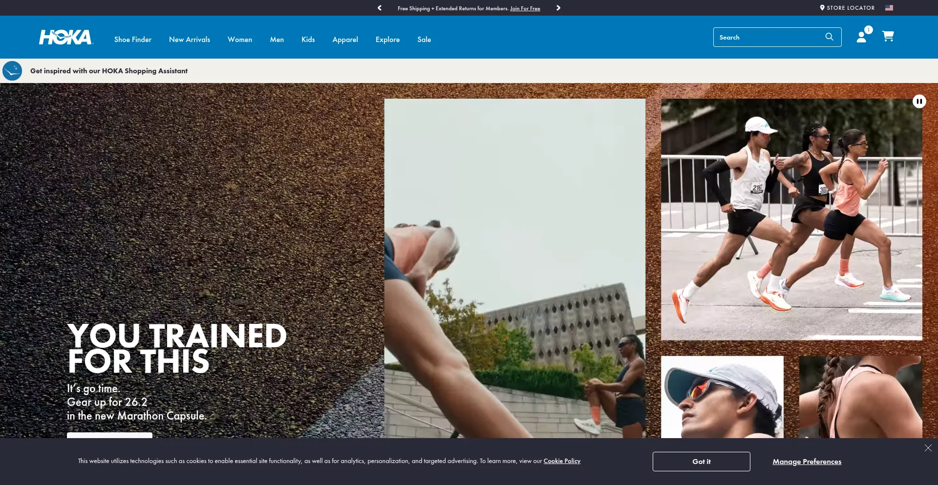 Website screenshot of Hokaly.com